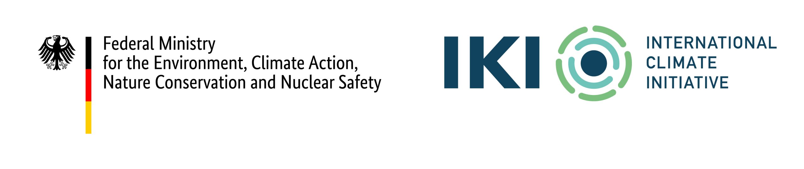 IKI Logo